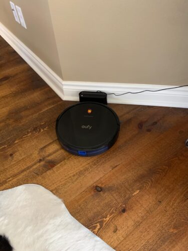 eufy Omni C20 Robot Vacuum and Mop Combo | 7000Pa Suction, Self-Emptying, Auto Mop Wash & Dry, Ultra-Slim, All-in-One Cleaning Station photo review